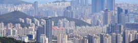 �̺о硤���� �������λ� �ȼ��� ���� ���� ������