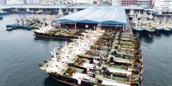 �鼼�� �� 50% �޵�λ� � �������� ����