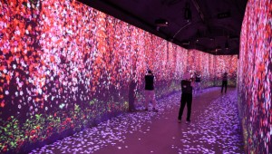 "ܿ￡ ؿ"簳 طũ 10 