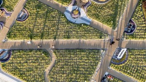 �ܿ��� û������