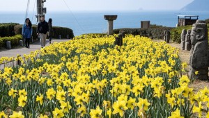 ��� ����ȭ Ȱ¦