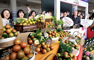 ��¬©�̰� �Ծ�䡱 21��22�� �����丶������