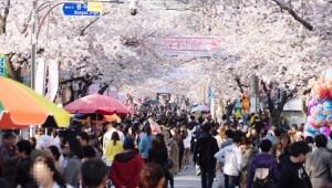 �뿵 ���ɰŸ��� '������ �ɳ����� ����' ���� ���ᰴ ��Ȥ