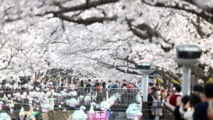 ȯ������ ���� ����