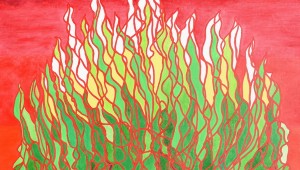 ��ȭ�� ġ���� ����� �Ҳɡ�