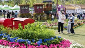 �˷ϴ޷� ��������