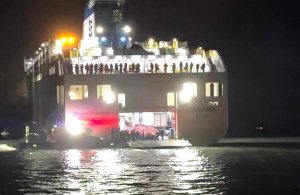 267 ź ī丮 ž ػ ε ʡ° ̼()