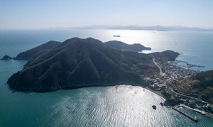 �����Ű��� ���� ���� 29�� �������������� ��ݱ� ���� ������ ������ ����ȭ��