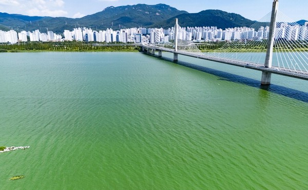 �λ� �ļ� 35�� ��Ȥ��, ���ش� ������