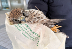 ÇØ¿î´ë ¼¾ÅÒ½ÃÆ¼ À¯¸® ¿Üº®¿¡ ºÎµúÈù ȲÁ¶·ÕÀÌ ±¸Á¶