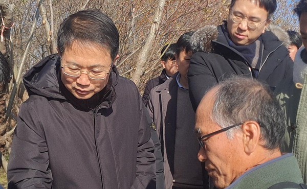 ���� ��������, ���ۻ�Ρ��߷� �ٴ� �ǻ��