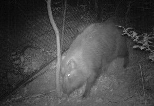 �λ� �������� ����� ��� �Ű�