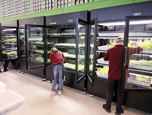 ��ư� ����ص� ���� ���ӵ����� �йڡ����� ���뿬�� ����