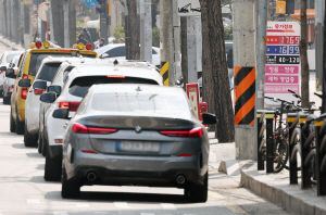 3�� �ְ��� �յΰ� �⸧�� �� ��¡����� 2010�����λ�1955��