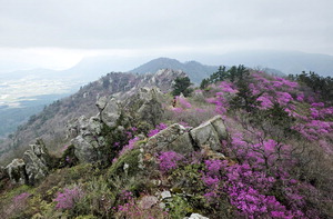 ���ǻ� ������ ����强 �����桦�������� ������ ����ȫ ���޷�