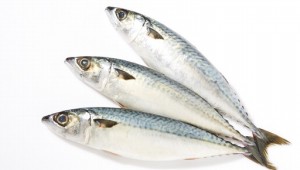 õ  񸰳  ڸ  븰