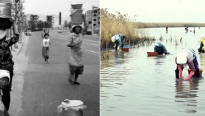 ¾çµ¿ÀÌ À̰í Áö°í¡¦°Ýµ¿ÀÇ ½ÃÀý ¸Ô¿©»ì¸° ¾ÆÁö¸Åµé