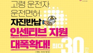 ºÎ»ê °í·É ¿îÀü¸éÇ㠹ݳ³ ¶© ÃÖ´ë 30¸¸ ¿ø ¹Þ´Â´Ù