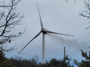 ��� �����븮 �α� ǳ�¹����⼭ ��