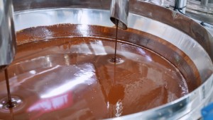 �Ե� ���ݸ� �����塯 ������ ���� Ȯ��