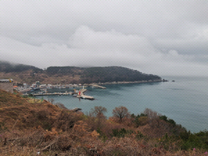 °¡´ö½Å°øÇ× ¼öÀǰè¾àÇÑ´Ù¡¦¿¬³» Âø°ø °¡½ÃÈ