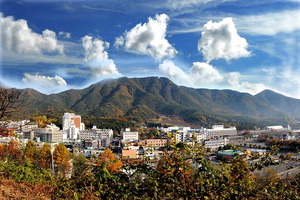 ±¹³» ù À£´Ï½º ÀºÅðÀÚ¸¶À», â³ç ºÎ°î¿Âõ¿¡ Á¶¼º ÃßÁø