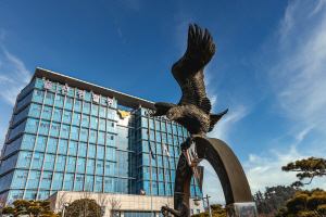 700¾ï ¿ø´ë ºÒ¹ý µµ¹Ú»çÀÌÆ® ¿î¿µÇÑ ÀÏ´ç °æÂû °Ë°Å