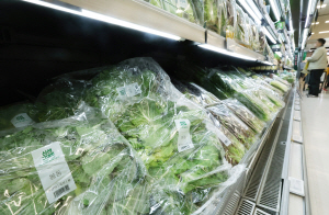 SNS�� ���࿡ �ζٴ� ������������ ���ݡ� �� ���̻� �����⵵