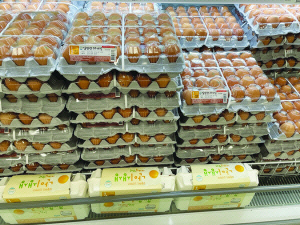 �ߡ��������ѿ� 3�� ���� ������ Ȯ�� ����ó�С������ݱ޵�