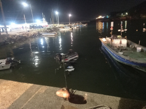 �λ� ���屺�� �ϰ��� ź ���� �ٴٿ� ���� 1�� ��� 1�� �ǽĺҸ�(����)