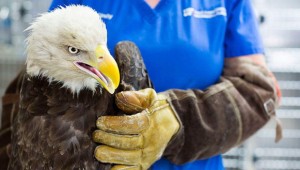 �λ��, �ܱ��� �������� ���λ�� ���� ����