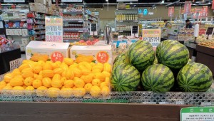 �츮��Ʈ, ����ä�� ���ῡ ����ȭ ��������