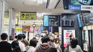 �ù��̵��� ���� ���������� �뼱�� ������