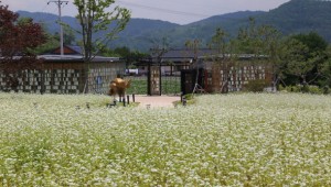 ��巯�� �޹в�, ����� �׸��� �Ǿ�� �ð����� ��