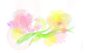 [�� ������ ����] �� �� /����ȣ