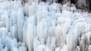 �帣�� ��� ������ ���� �ð��� ž���񽽻�  �������