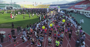 ù Åä¿äÀÏ °³ÃÖ ¾ç»êÇÏÇÁ¸¶¶óÅæ, 'ÈïÇà+¾ÈÀü' ³ë¸°´Ù