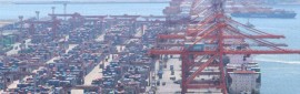  ݵü ȣ 9  ִ롦''   1.4%