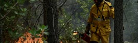�����ο��� ���� ���� �� �������������� ���� ��ҿ� ������ ���� ǰ�� ����