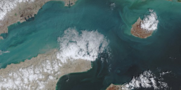 �̶� �������Ⱓ �󼱿� ȣ������ ���� ��롱