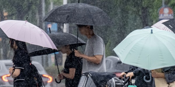 �λ� ��� �泲 ����� �� ������ �̾�����