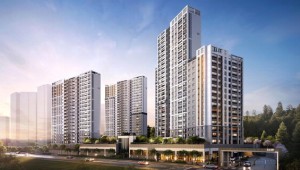 ���� �������� â���� 21�� 1���� û��