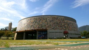 ���� ���߻�������, ������ �ָ����� ��ȭ�ڿ� ������100���� ����