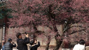 �ɸ��� ��Ʈ�� �뵵�� ȫ��ȭ