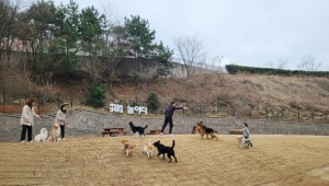 ���, �λ� ���ʡ����� �ݷ����� �����͡��� ���١�3�� 19�� ���� 3�� �����