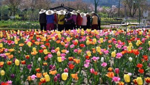 ��¤���� ���� ��Ĭ