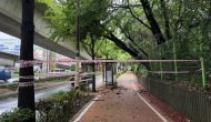 �λ�, ��ǳ���� ���� �������� ���� ħ�� �� ����