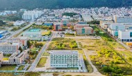 ���̹� ������ �λ��, ���ķ ���޺��� ���� �� ����
