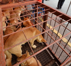 ���󺸴� ���� �� �Ŀ� ���� ����� 10�� �� 8�� ���� �̻� � �� �ء�