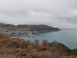 �����Ǽ� ���ҡ� �ܵ� �����������Ű��� �������� ����